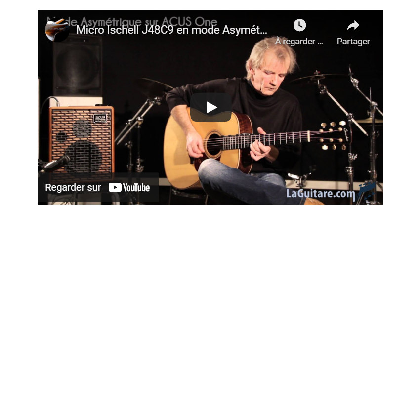Folk Acoustic Guitar Pickups – ISCHELL